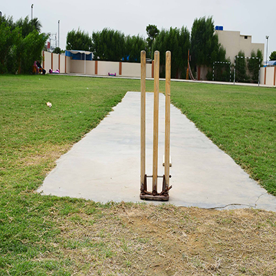 cricketpitch